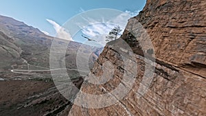 Flying eagle follow mountain stone structure desert valley village countryside landscape aerial view