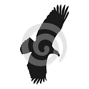 Flying eagle vector illustration black silhouette