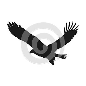 Flying eagle vector illustration black silhouette