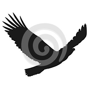 Flying eagle vector illustration black silhouette