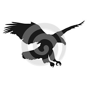 Flying eagle vector illustration black silhouette