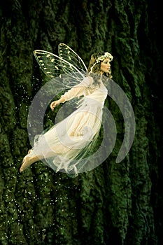 Flying fairy