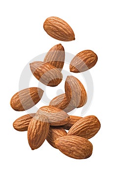 Flying and falling almonds isolated on white background