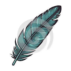 Flying feather, animal wing photo