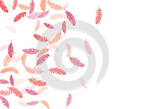 Flying feather elements airy vector design.