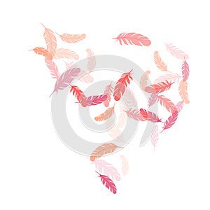 Flying feather elements airy vector design.