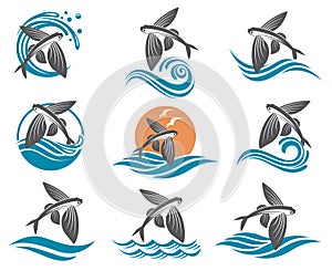 Flying fish illustrations set