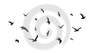 Flying flock of birds. Flight bird silhouettes, isolated black doves or seagulls collection. Freedom metaphor vector photo