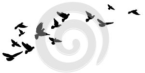 A flying flock of birds, pigeons. Black silhouettes. Vector illustration