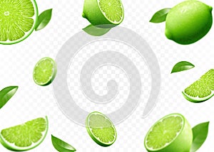 Flying fresh limes and lime slices with leaves. with blur effect. Vector 3d realistic illustration isolated on white background