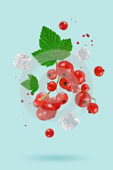 Flying fresh red currant with green leaves. Concept of food levitation. Currant, levitation.