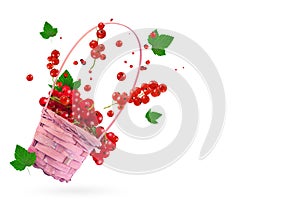 Flying fresh red currant with green leaves, on a white background. Concept of food levitation. Currant, levitation.