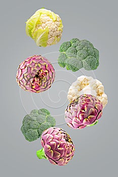 Flying fresh vegetable ingredients isolated on ultimate grey background