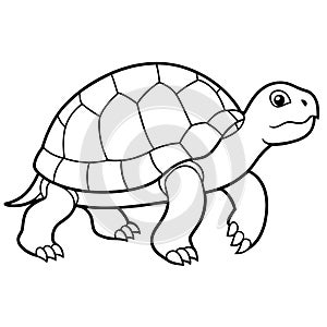 Flying Frog sits icon vector