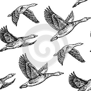 Flying geese photo