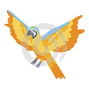 Flying gold parrot icon, isometric style