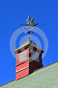 Flying goose wind vane on top of a cupola