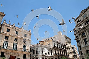 Flying in Havana