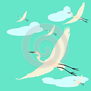Flying herons illustration, nature heron banner, animal rescue foundation,