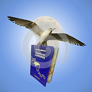 Flying With Honduran Passport