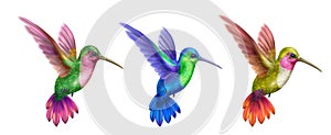 Flying Hummingbird Realistic Set