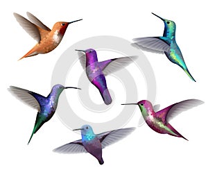 Flying hummingbirds. Little colored birds exotic jungle colored little hummingbirds vector realistic tropical collection