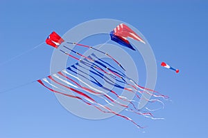 Flying Kite