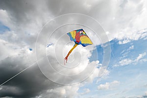 Flying kite in the air