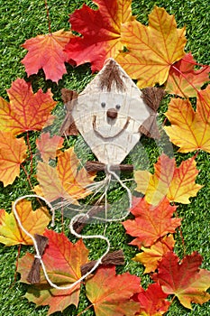 Flying kite and autumn leaves