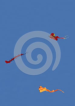 Flying kite in the blue sky