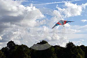 Flying kite in the park above trees