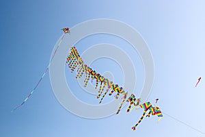 Flying kites