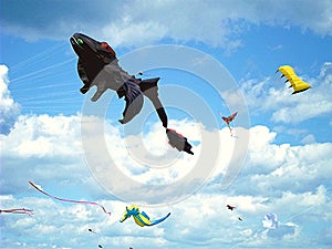 Annual Flying kites contest at Montrose park i