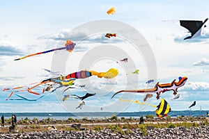 Flying kites in the sky