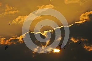 Flying kites in the sky in India. Clouds with golden lining.