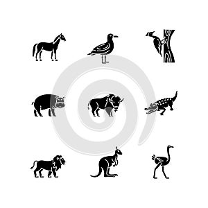 Flying and land animals black glyph icons set on white space