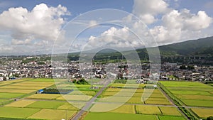 Flying left over rice fields at base of Mt. Fuji as Shinkansen speeds by