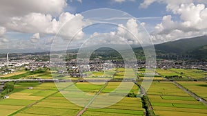 Flying left over rice fields at base of Mt. Fuji as Shinkansen speeds by