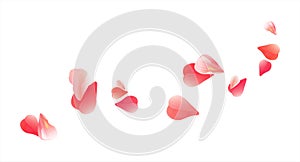 Flying light Pink Red petals isolated on white background. Roses petals. Falling Cherry flowers. Vector EPS 10 cmyk