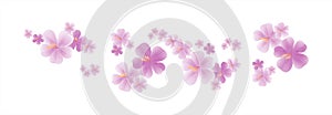 Flying light Purple Violet flowers isolated on white background. Apple-tree flowers. Cherry blossom. Vector EPS 10 cmyk