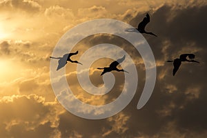 Traveling from light to darkness