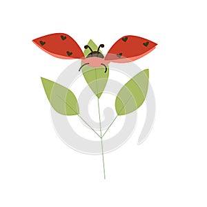 flying lovebug or ledybug on leaf cartoon