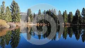 Flying Low Over Pond at Graeagle California