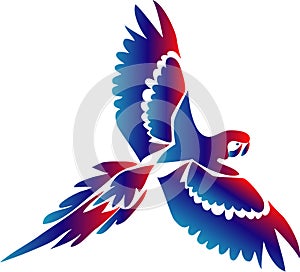 Flying macaw