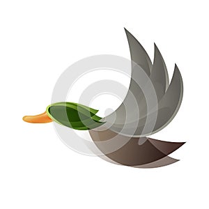 Flying Mallard duck logo isolated on white background cartoon vector