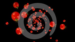 Flying many fresh tomatoes on black background. Organic vegetables. Ripe juicy cherry tomatoes. 3D loop animation of tomato.