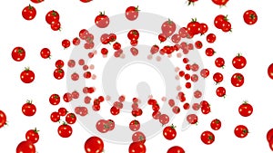 Flying many fresh tomatoes on white background. Organic vegetables. Ripe juicy cherry tomato. Loop animation.
