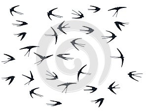 Flying martlet birds silhouettes vector illustration. Migratory martlets swarm isolated on white.