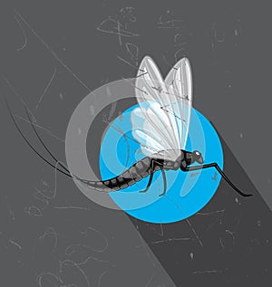 Flying Mayfly Insect