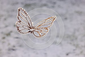 Flying metal butterfly with ice and snow in winter